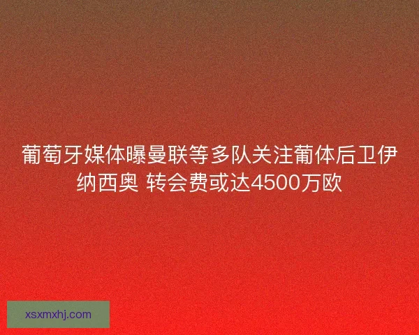 葡萄牙媒体曝曼联等多队关注葡体后卫伊纳西奥 转会费或达4500万欧
