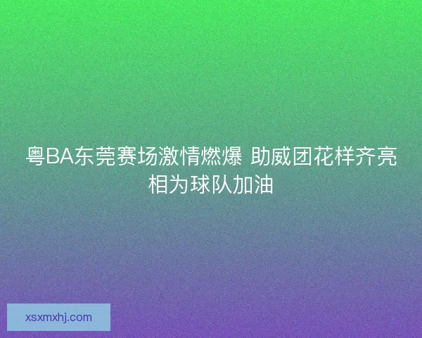 粤BA东莞赛场激情燃爆 助威团花样齐亮相为球队加油