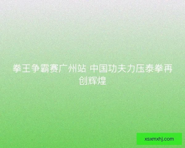 拳王争霸赛广州站 中国功夫力压泰拳再创辉煌