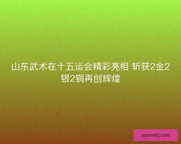 山东武术在十五运会精彩亮相 斩获2金2银2铜再创辉煌